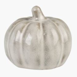 Pumpkin small koriste hiekka