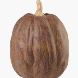Bruno pumpkin koriste ruskea