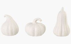 Small pumpkins koriste luonnonvalkoinen